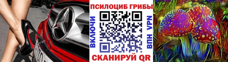Купить закладки  Пугачёв  Галлюциногенные грибы Psilocybine cubensis 